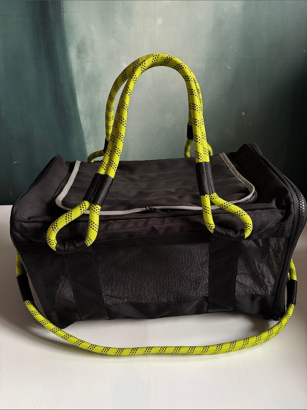 Roverlund Out Of Office Pet Carrier Large Airline Approved